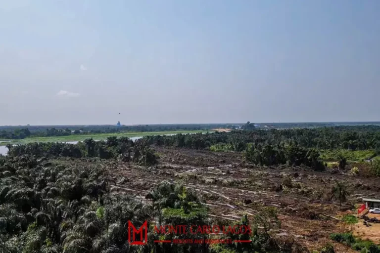 piece of land in monte carlo beside the bridge