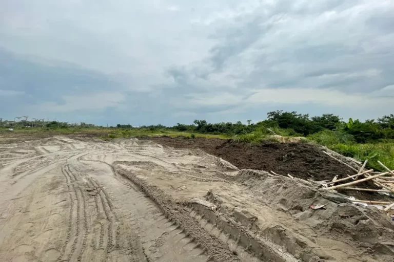 the advantage estate land